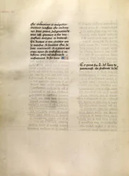 Pagina di testo